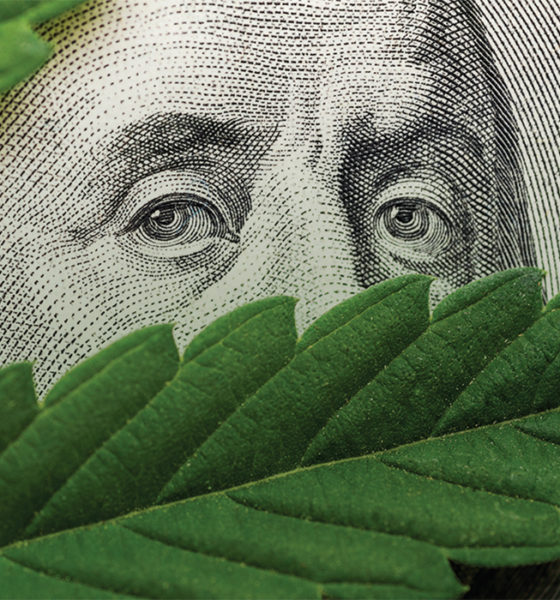 dollar-and-cannabis-plant
