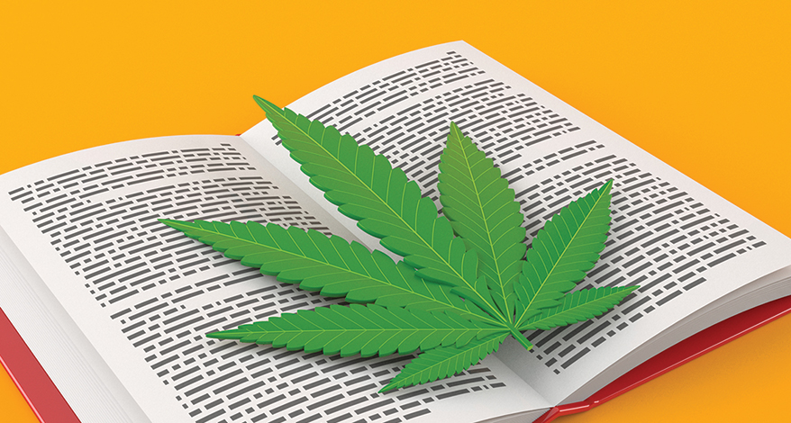 cannabis-leaf-on-book