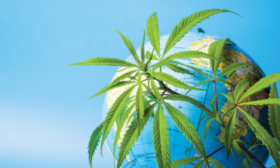 globe-and-cannabis