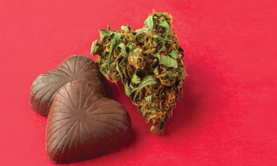 chocolates-and-cannabis